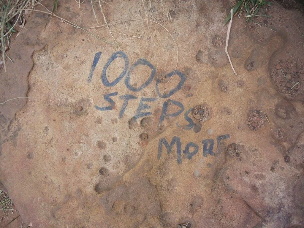 1025406 10151667486401513 1980497283 O