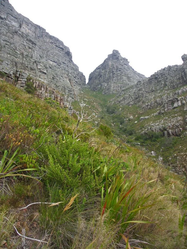 1381915 10151667486136513 2078817887 N