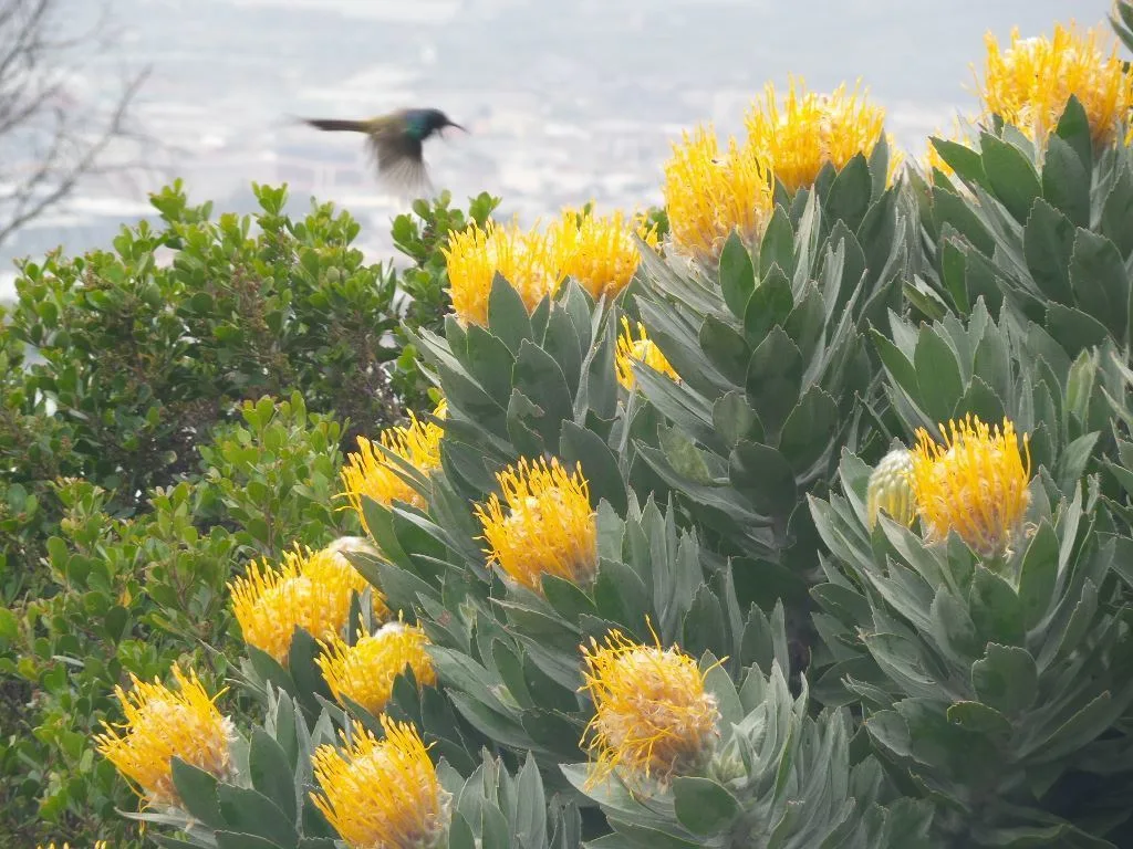 1396809 10151667488421513 249124788 O 1