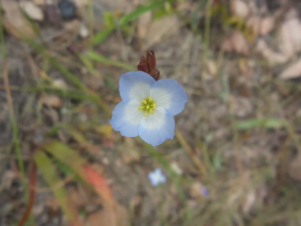 1399654 10151667485896513 718959198 O