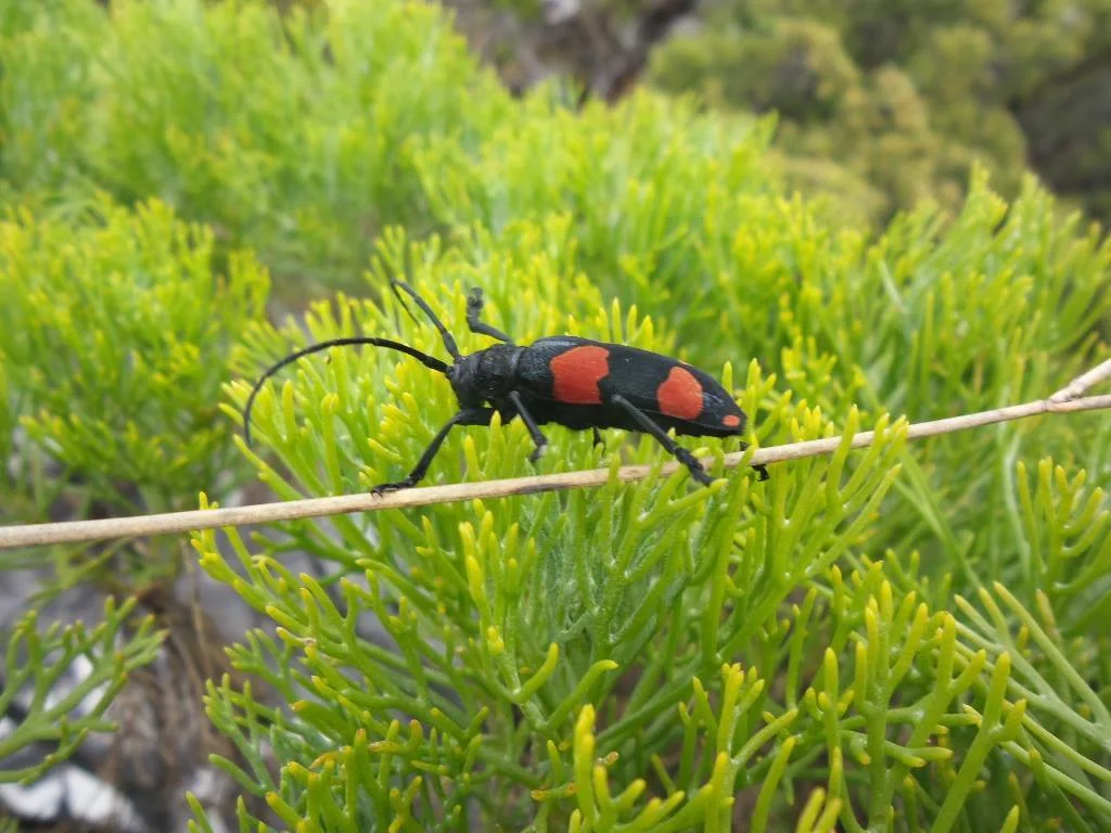 906422 10151667487991513 2093214158 O