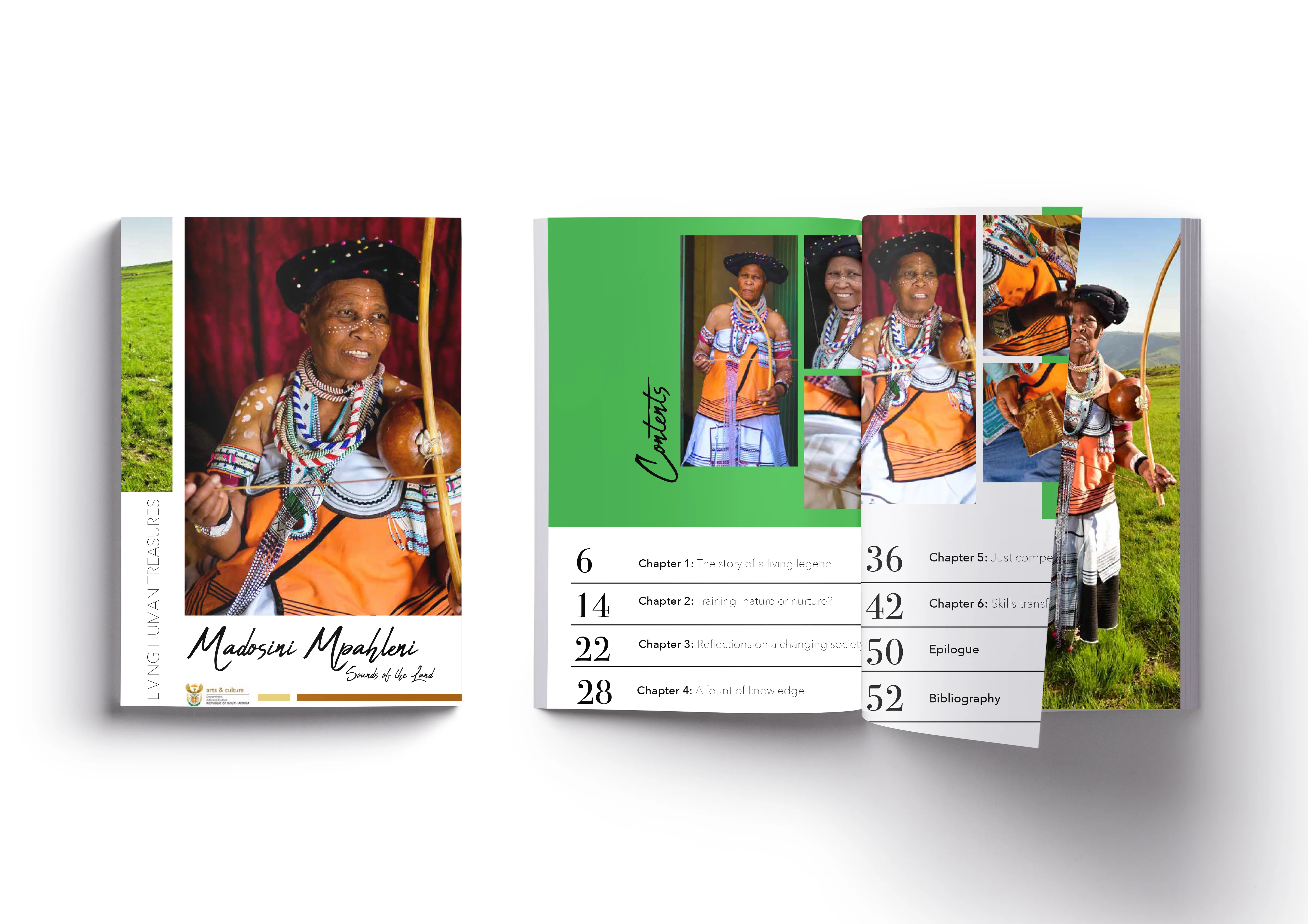 DAC Madonsini mockup