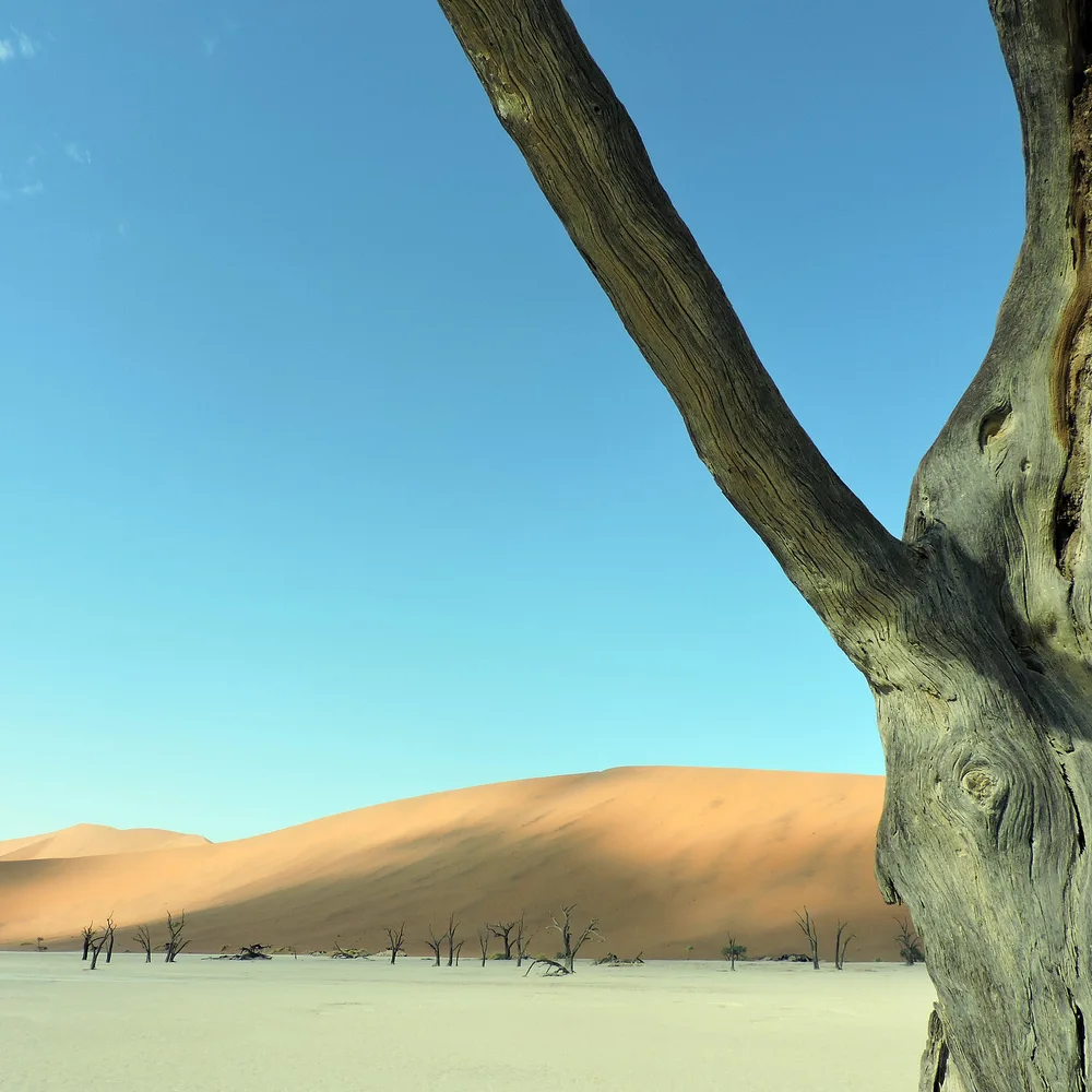 Dead Vlei, Namibia.