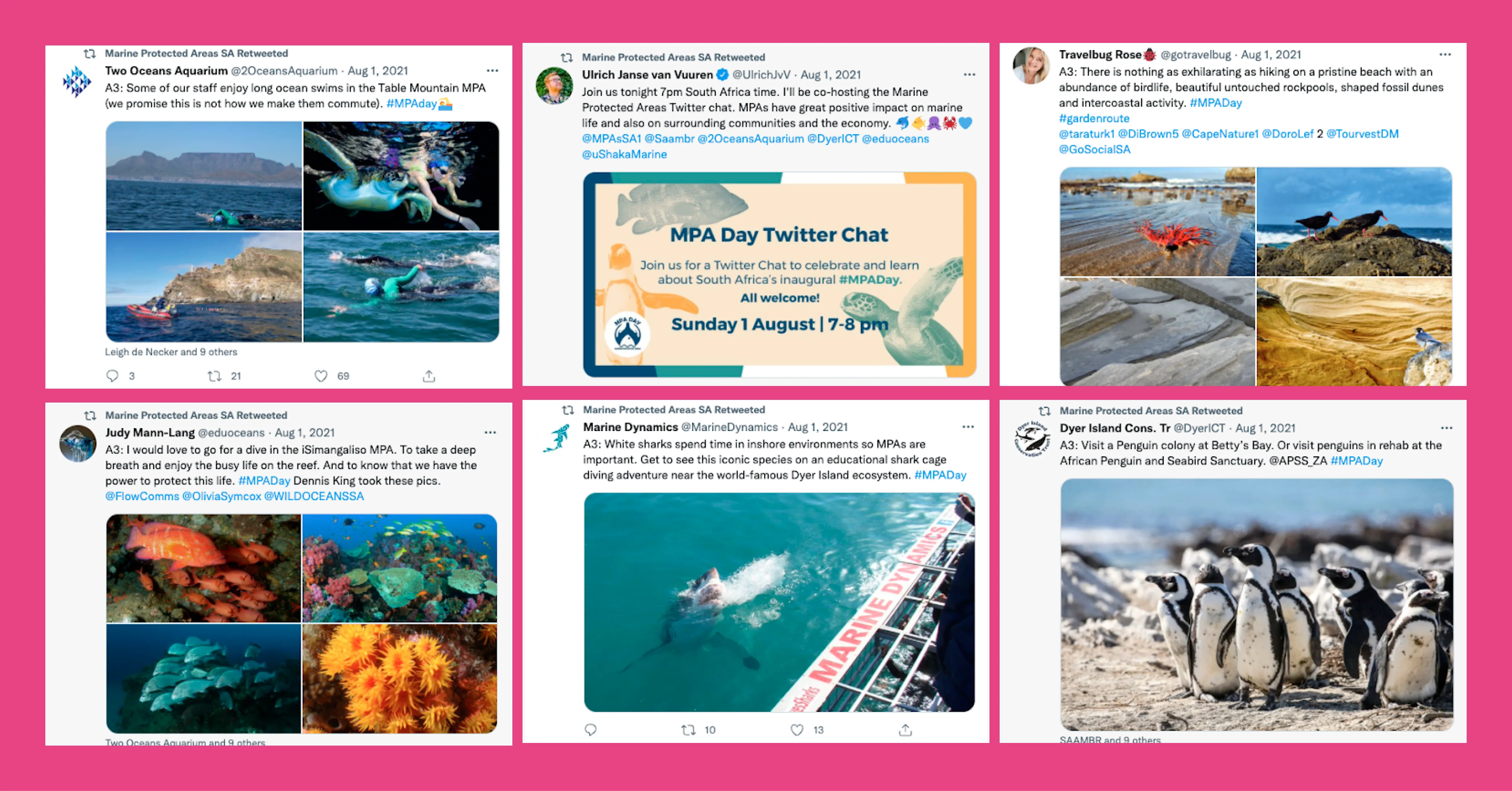 Influencer Marketing Montage