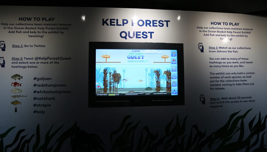 Kelp Forest Quest 1