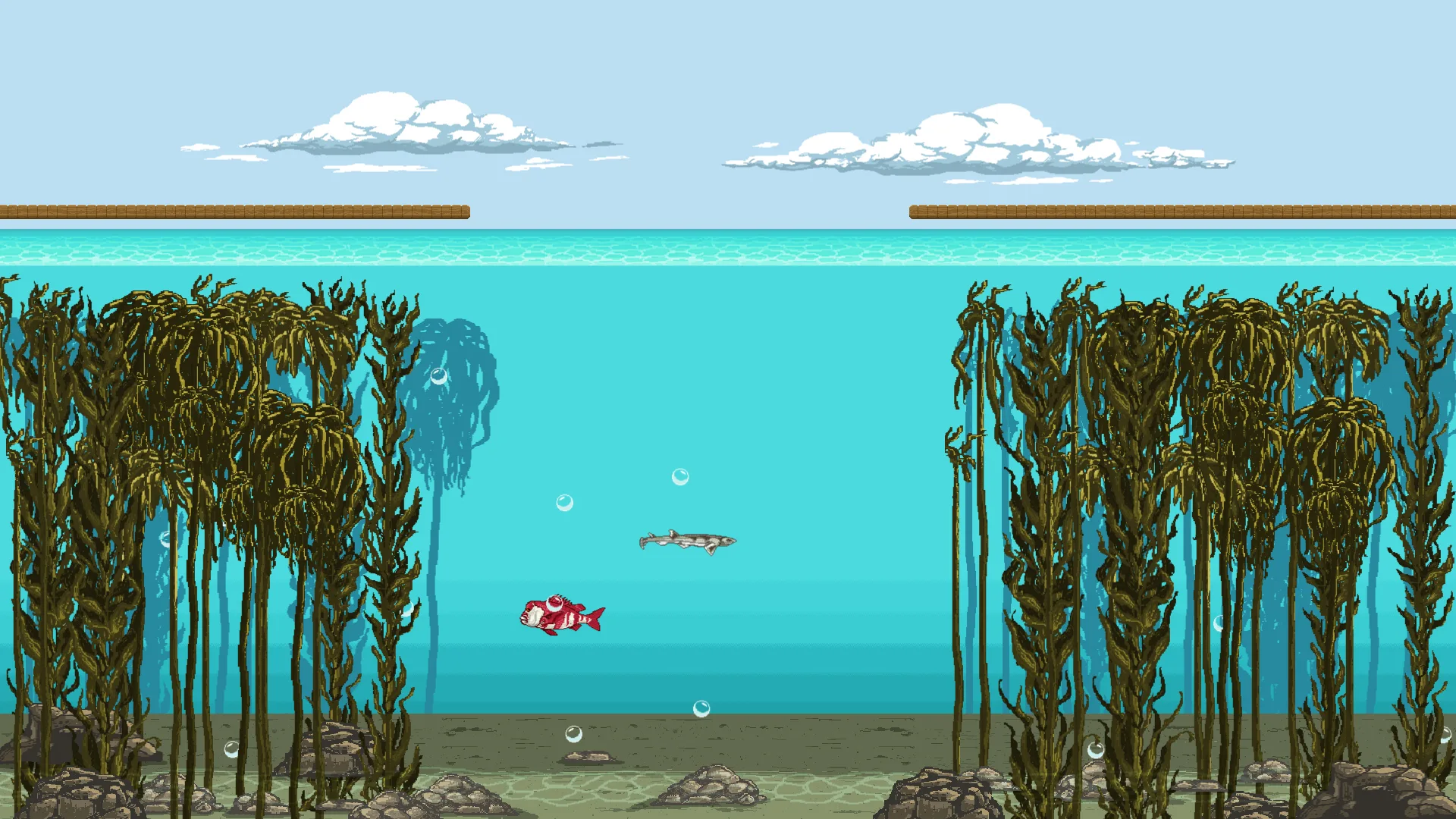 Kelp Forest Quest V03