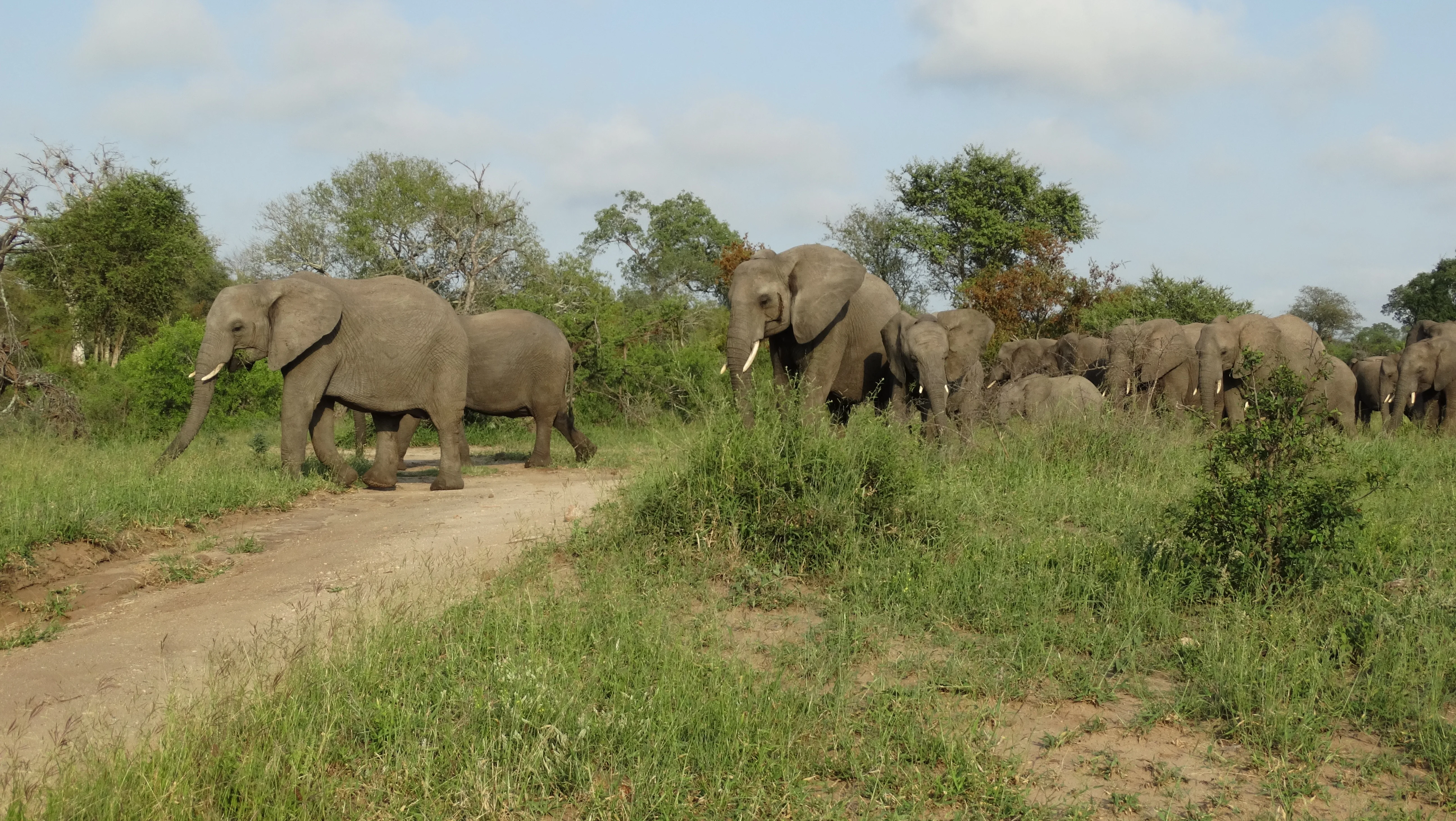 Mm3 Banner Flow Blog