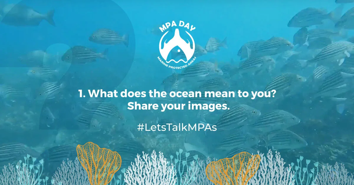 MPA Day Twitter Chat question 1