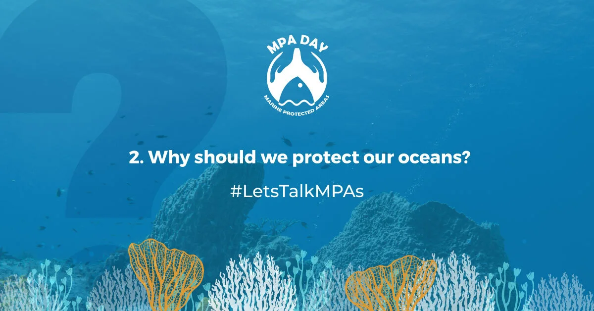 MPA Day Twitter Chat question 2