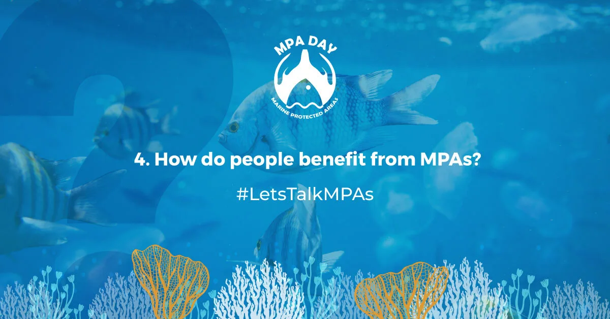 MPA Day Twitter Chat question 4