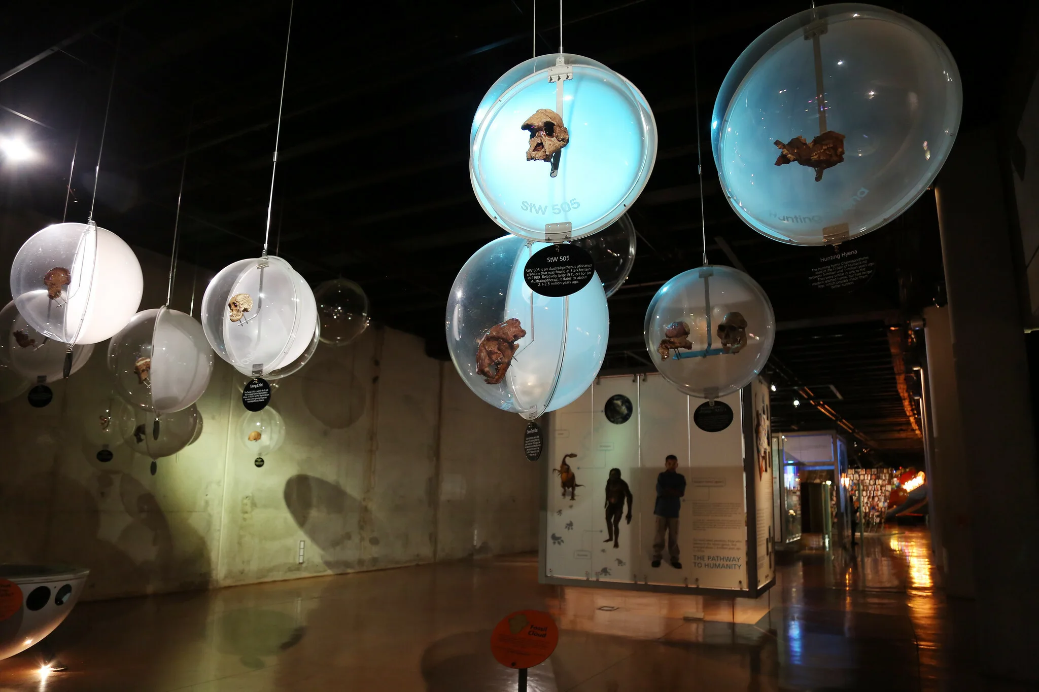 Maropeng, Cradle of Humankind