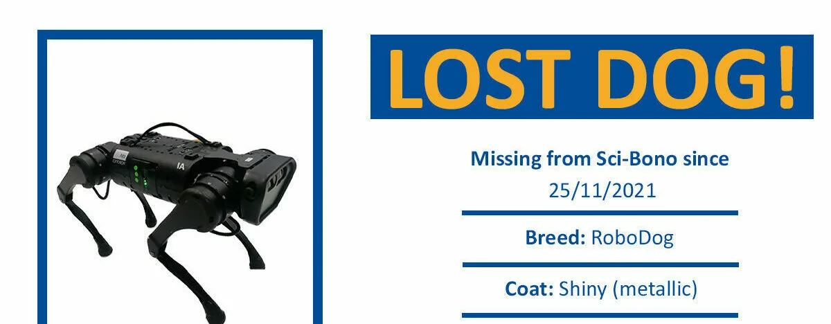 Missing dog poster