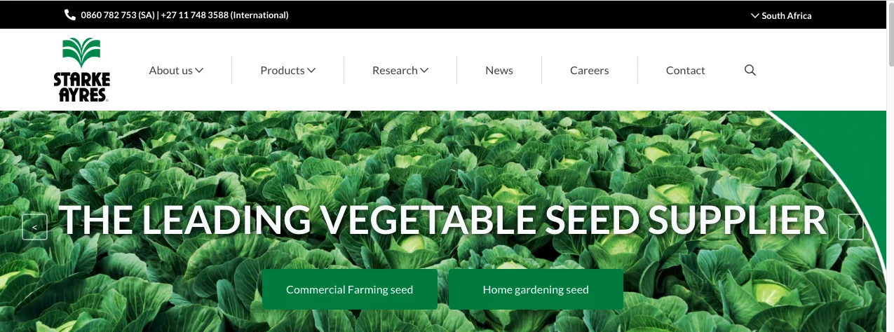 Screenshot 2020 11 11 at 13 22 53