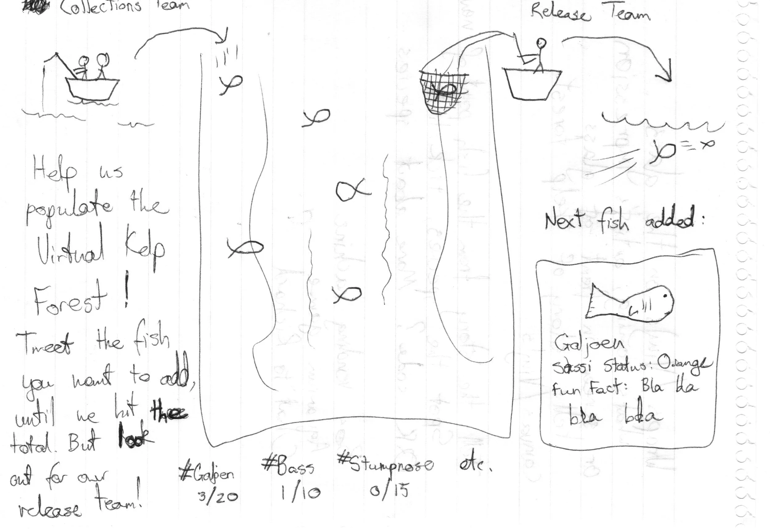 Virtual Kelp Forest Sketch Jpeg