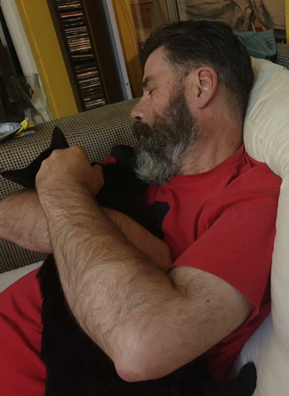 Casper the cat cropped