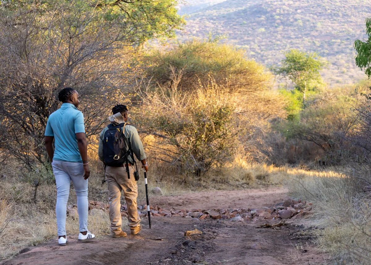 A walk among natures giants