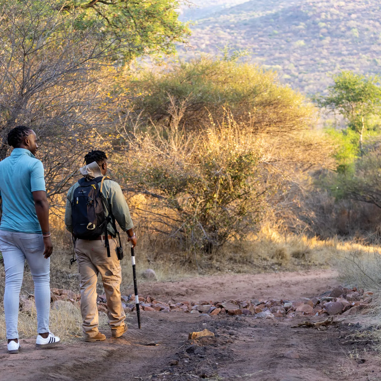 A walk among natures giants
