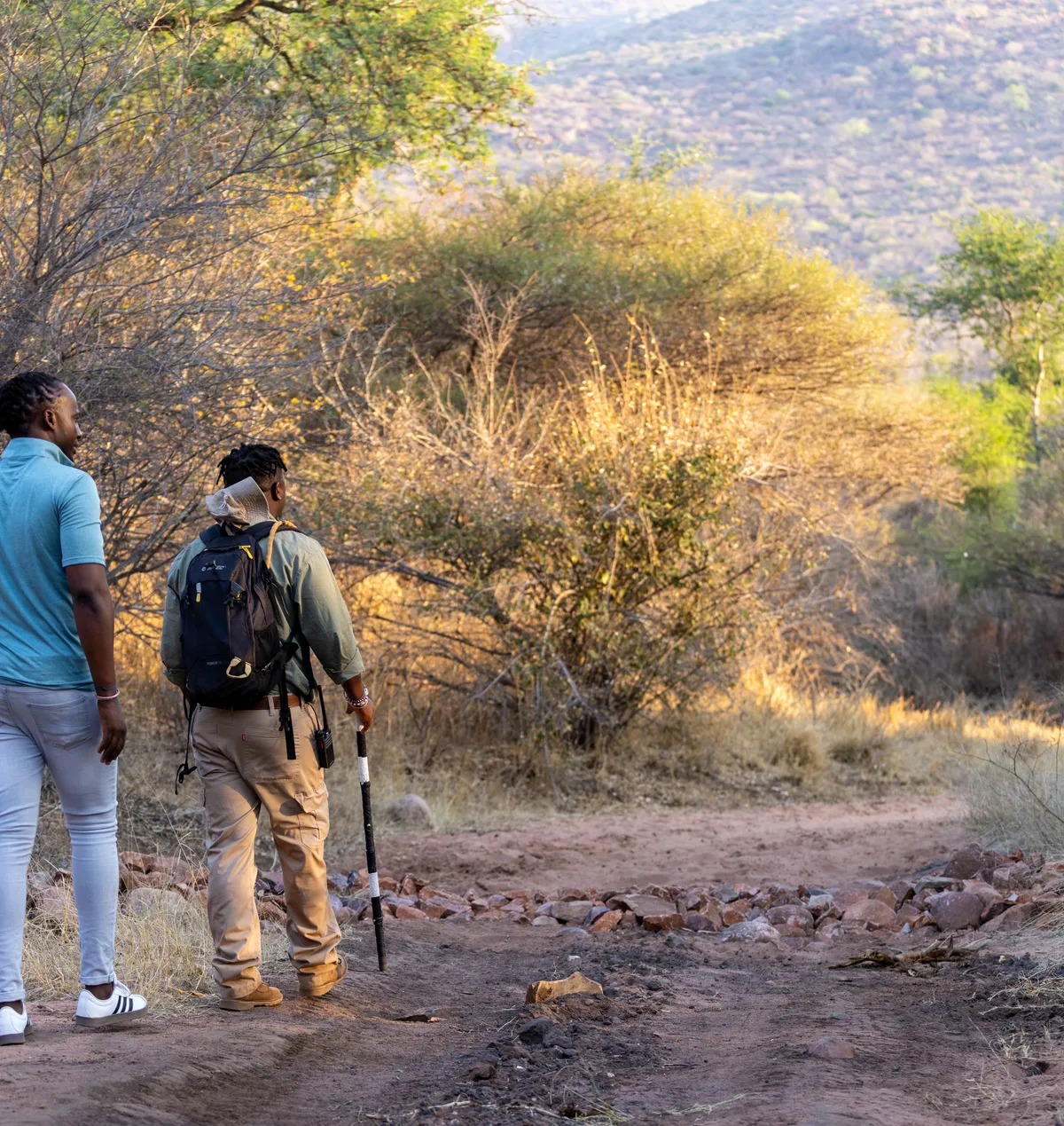 A walk among natures giants