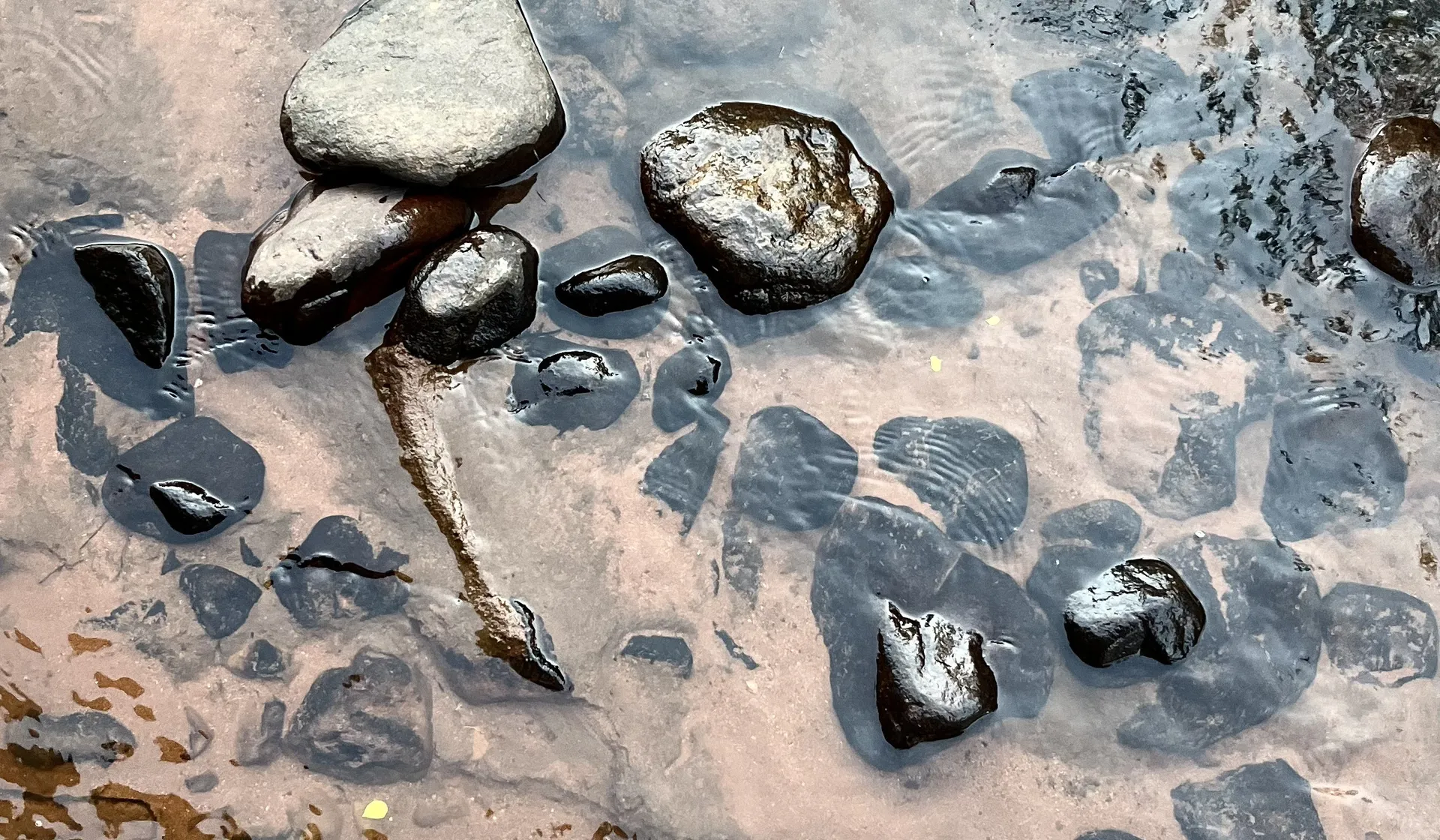 Earthkeepers: shape the landscape