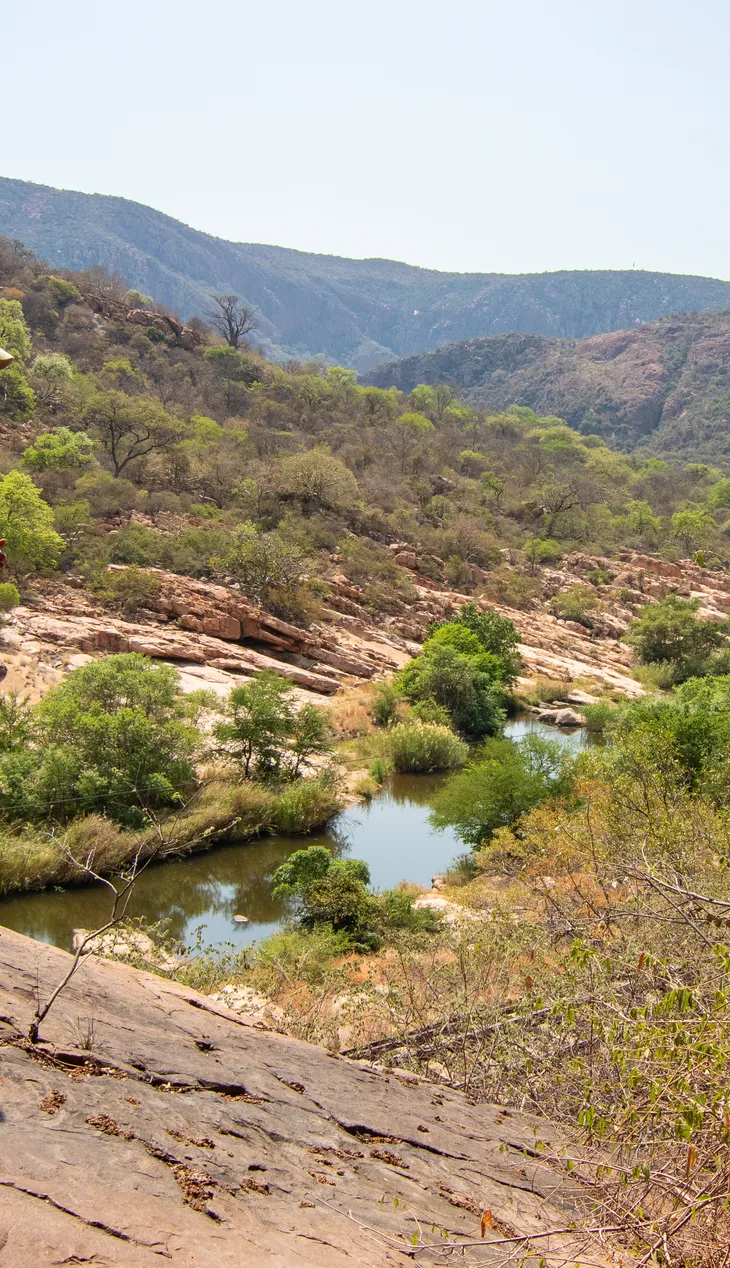 Conservation safari adventure