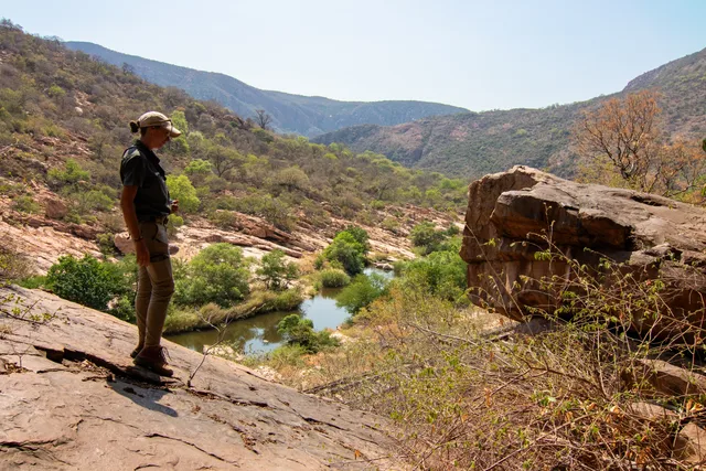 Conservation safari adventure