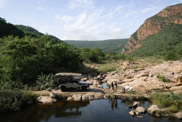 Game drives