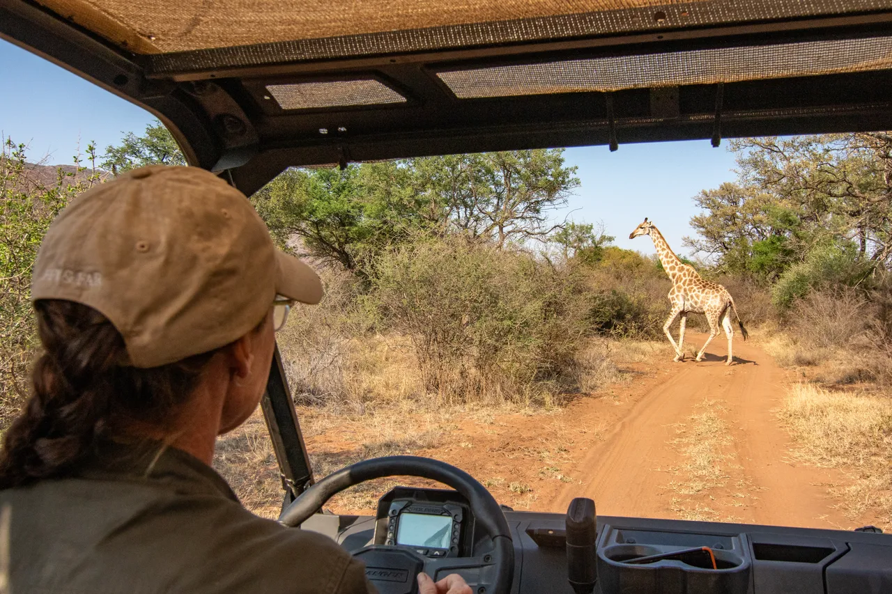 Conservation dawn 16 1