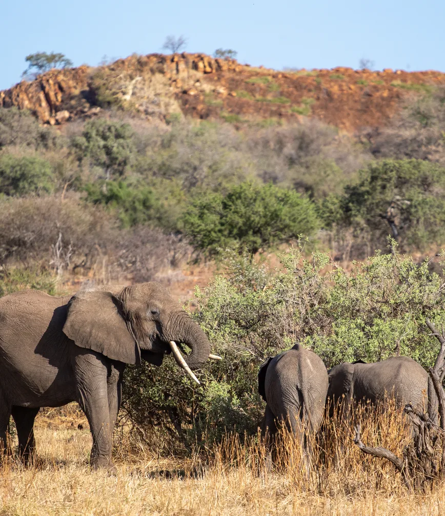 Explore the lost kingdom of Mapungubwe