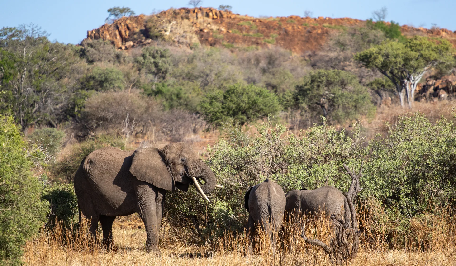 Explore the lost kingdom of Mapungubwe