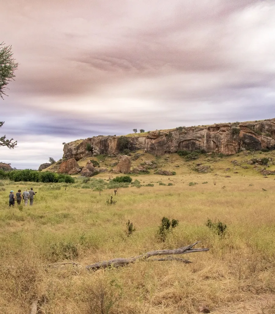This journey provides crucial context for the Soutpansberg region