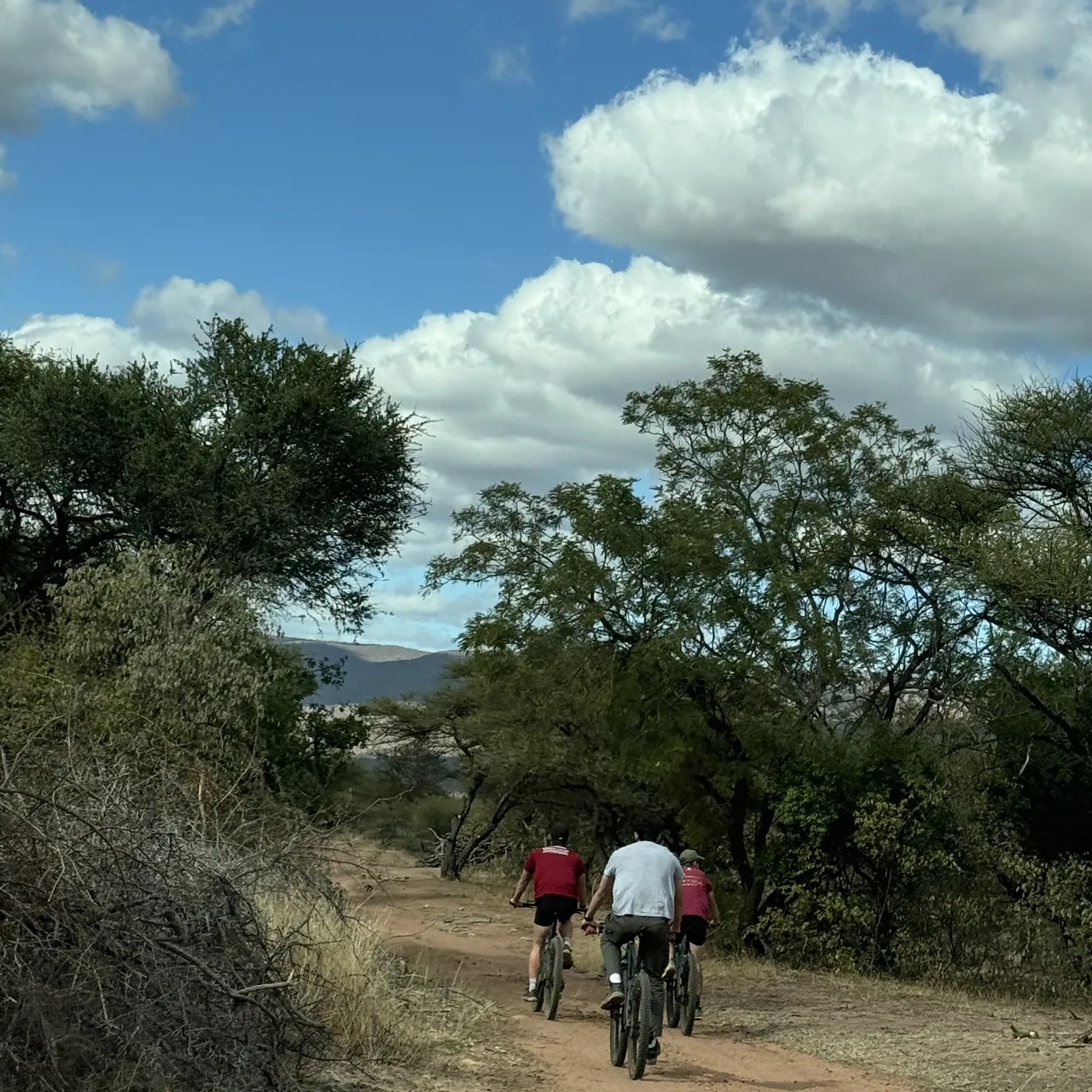 Copy of Mountain Biking 2