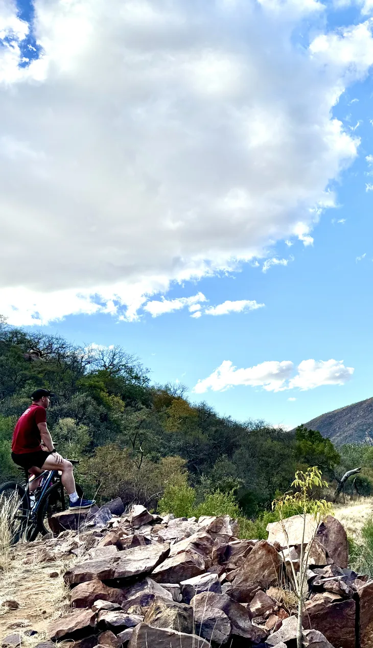 Mountain biking