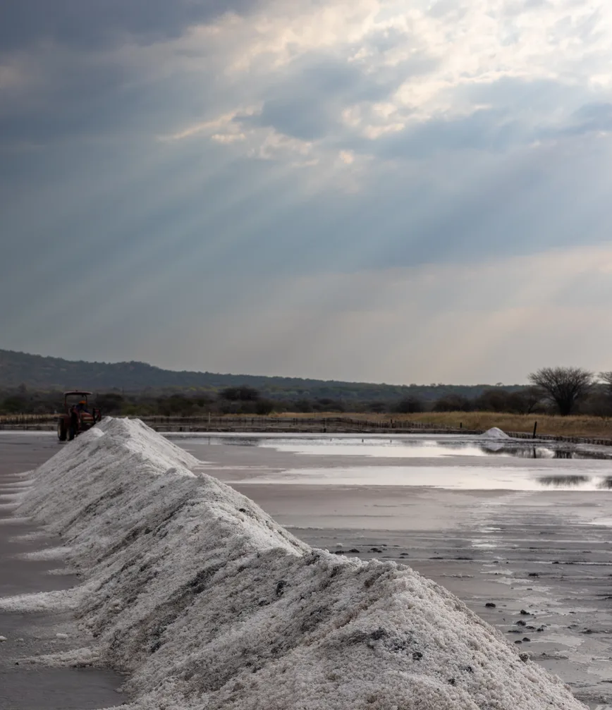 Harvest history at the sacred salt pans