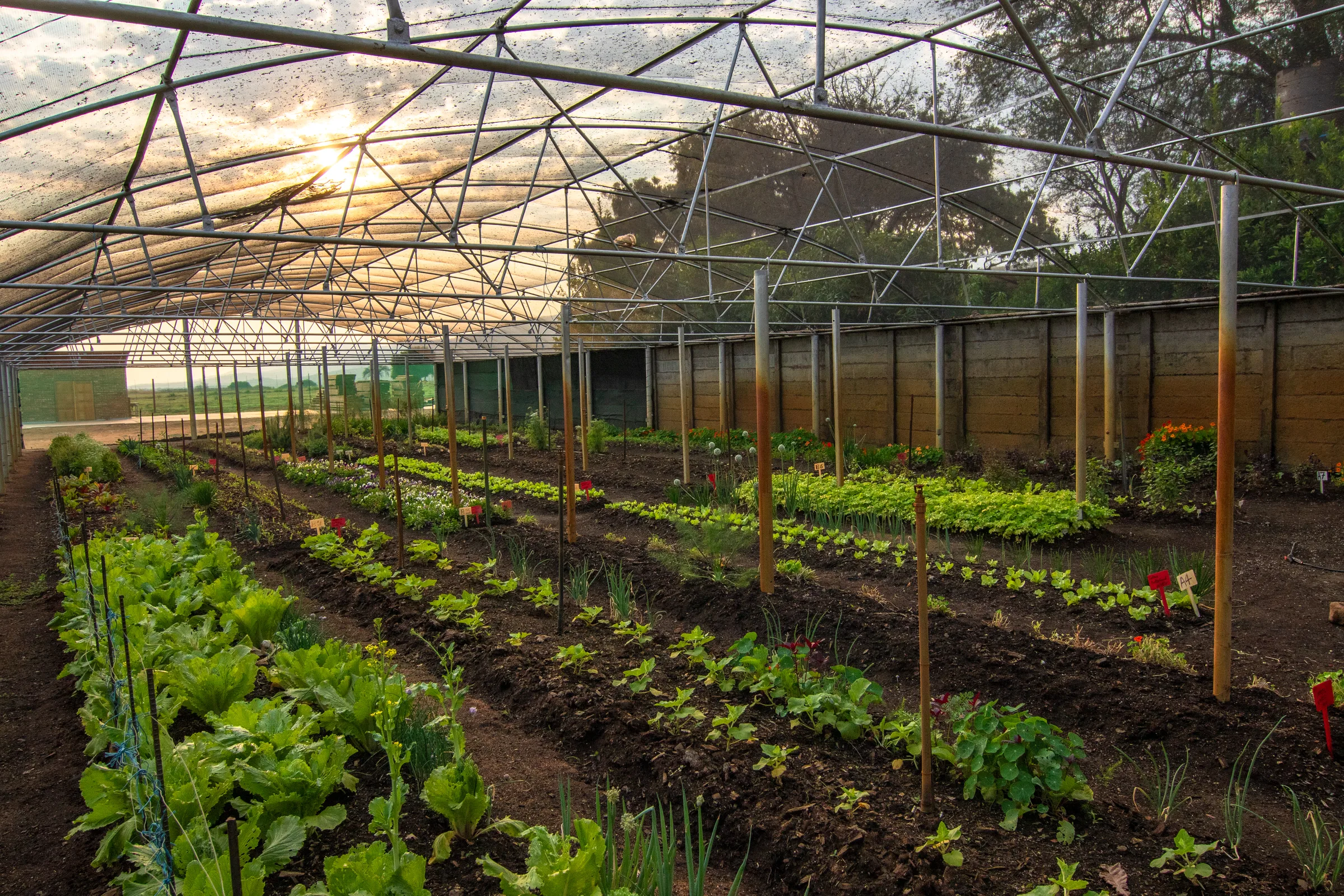 Paradise farm 1