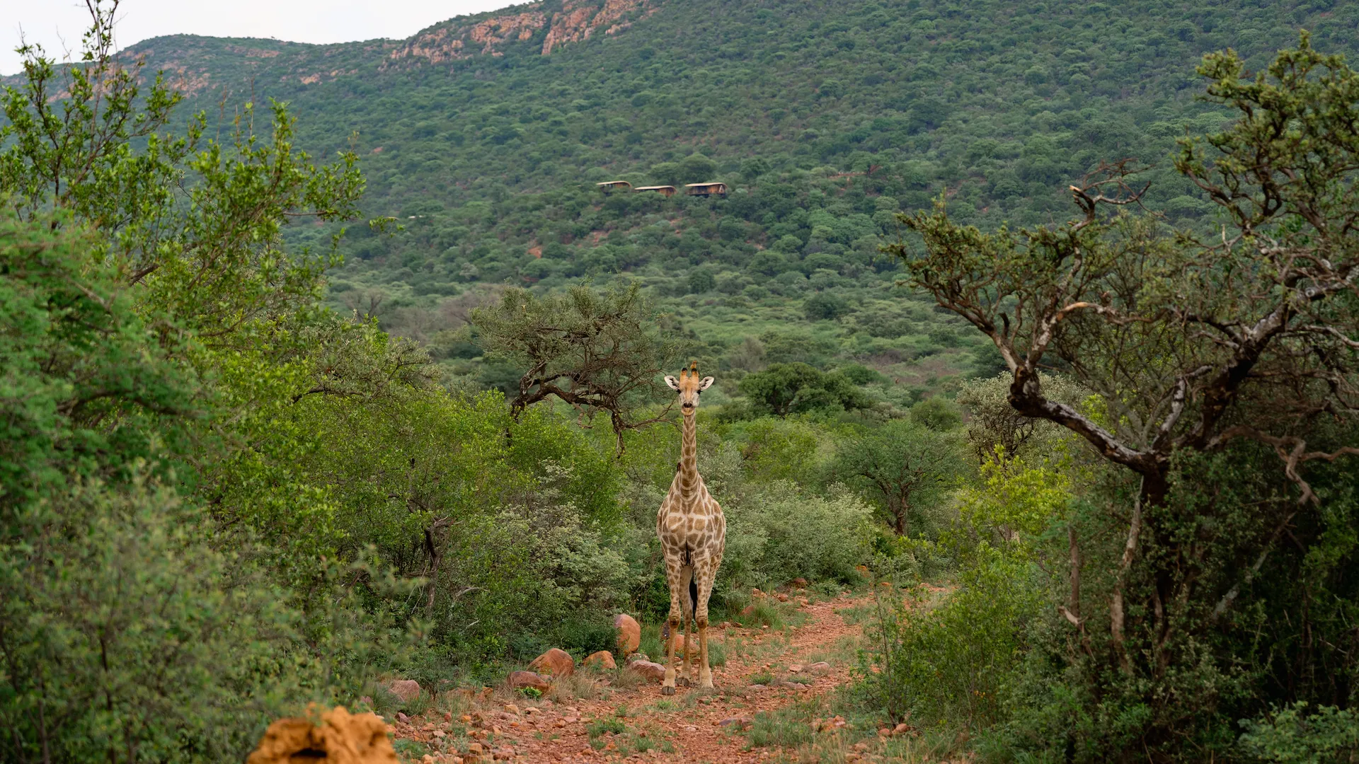Cliffside bliss - 3 reasons to book your trip to Few & Far Luvhondo before it’s too late