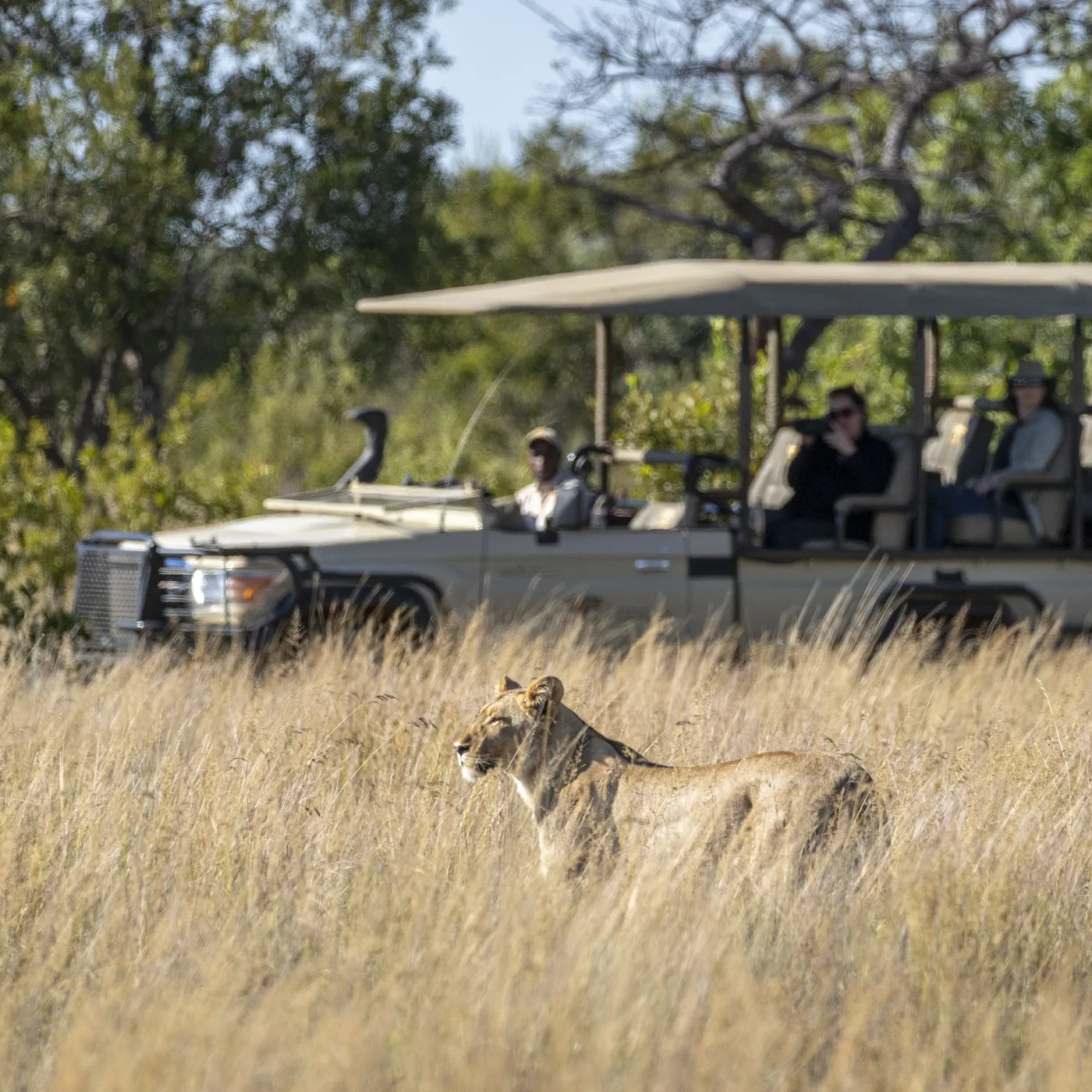 Exploring Lapalala Wilderness, South Africa