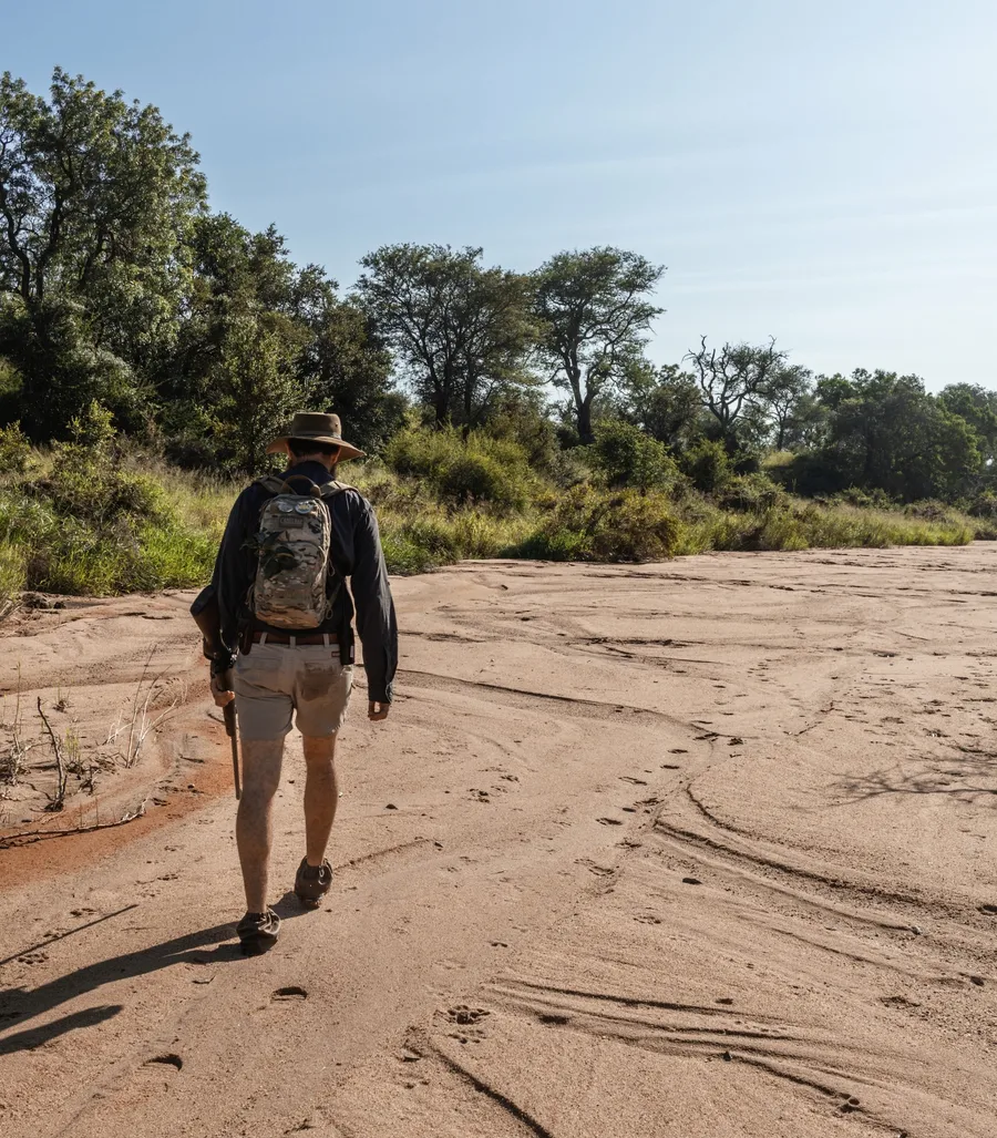 Greater Kruger and Soutpansberg