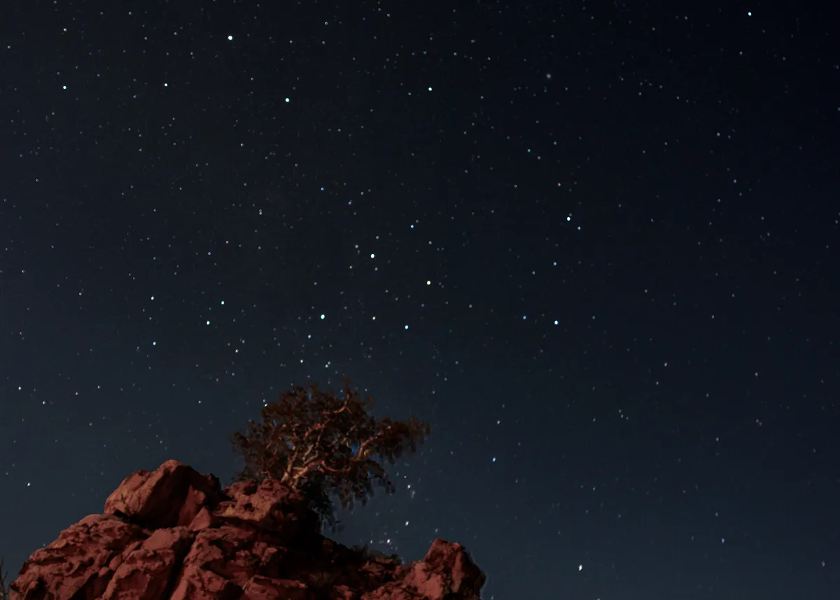 Night sky stars rock tree