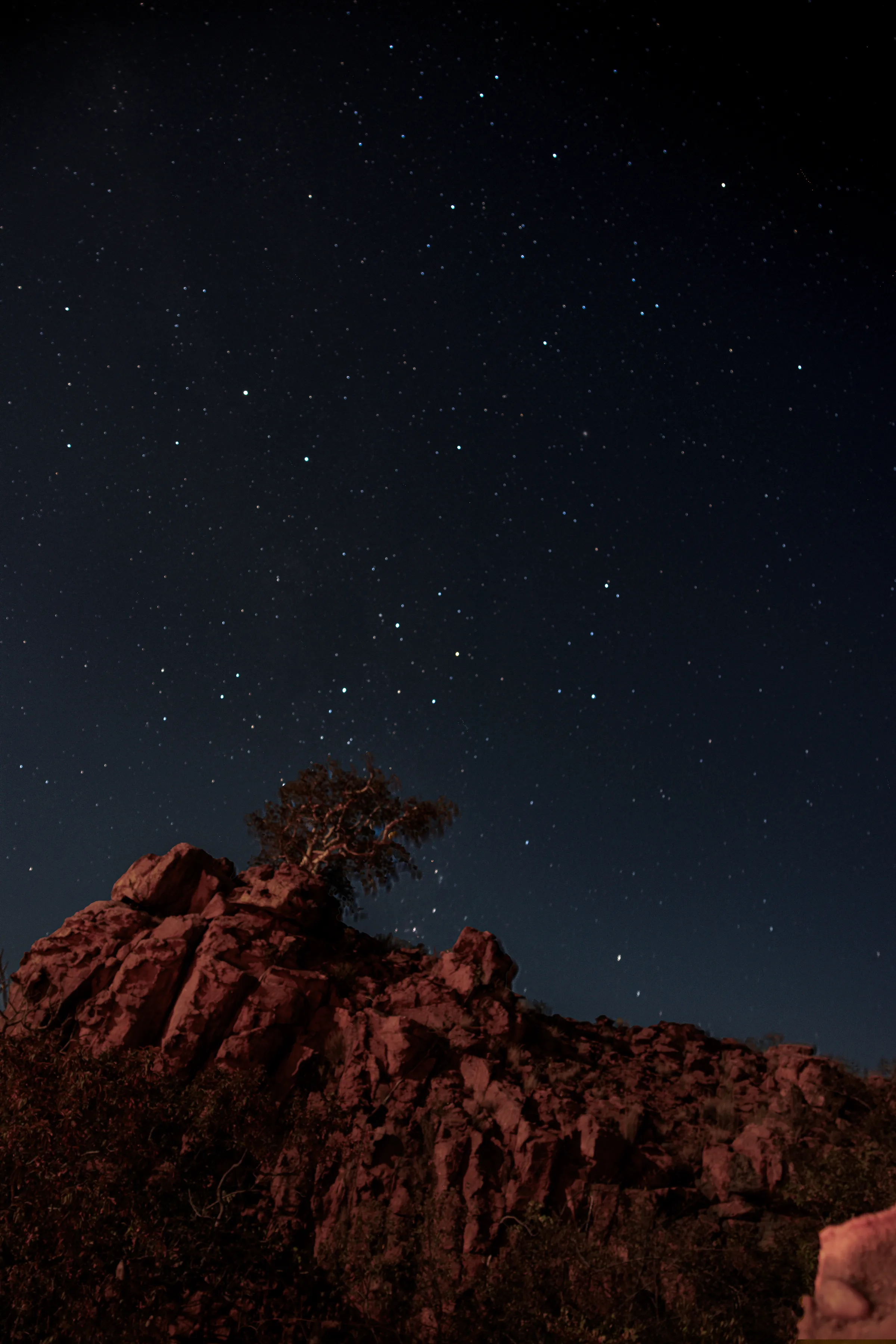 Night sky stars rock tree