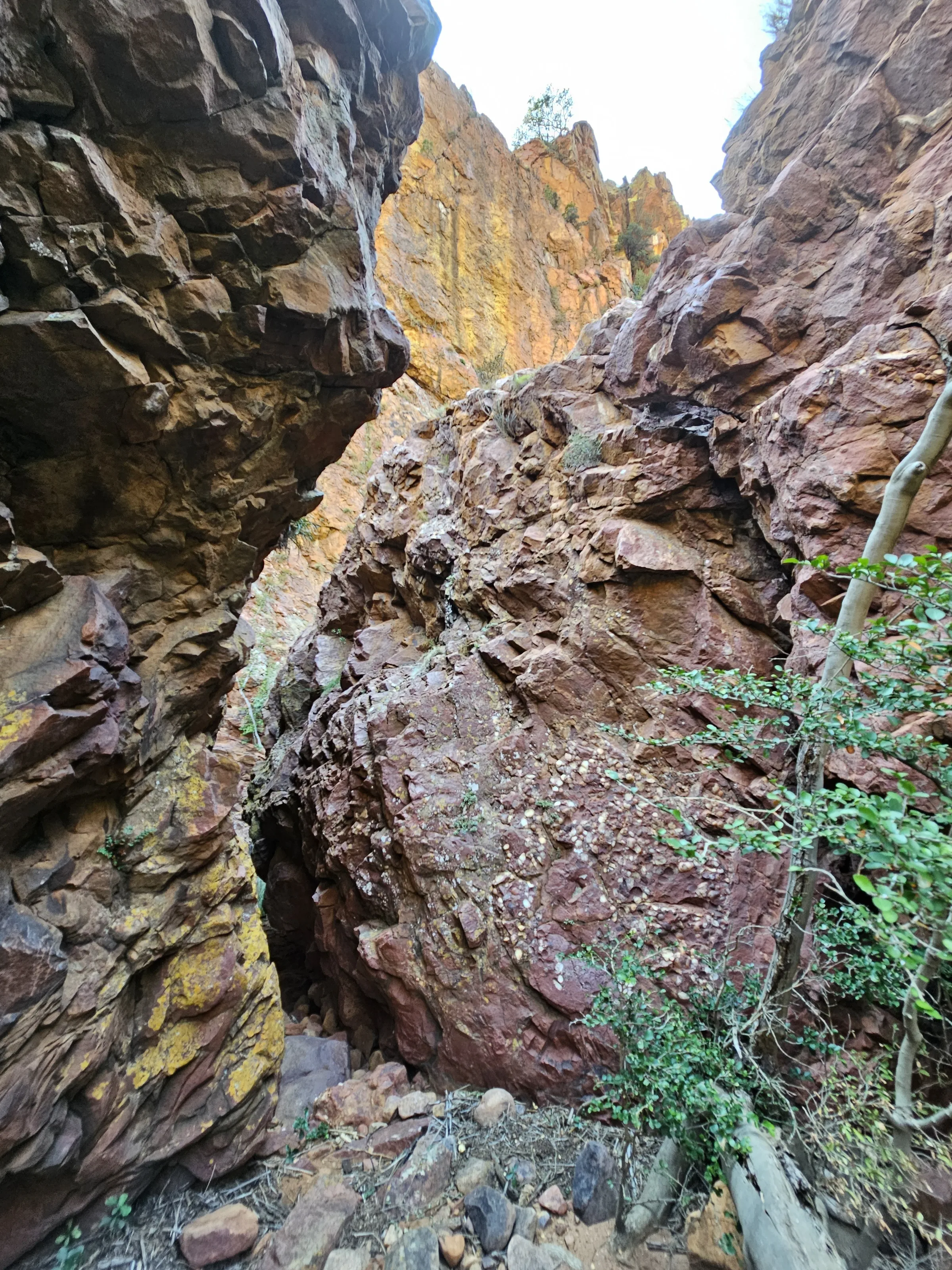 Luvhond's hidden gorge