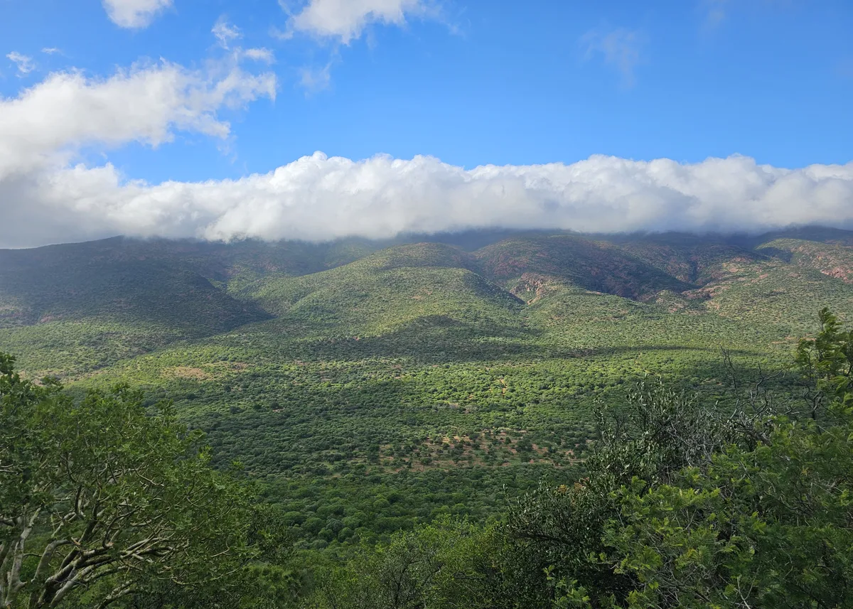 Copy of Few Far Luvhondo Reserve 5
