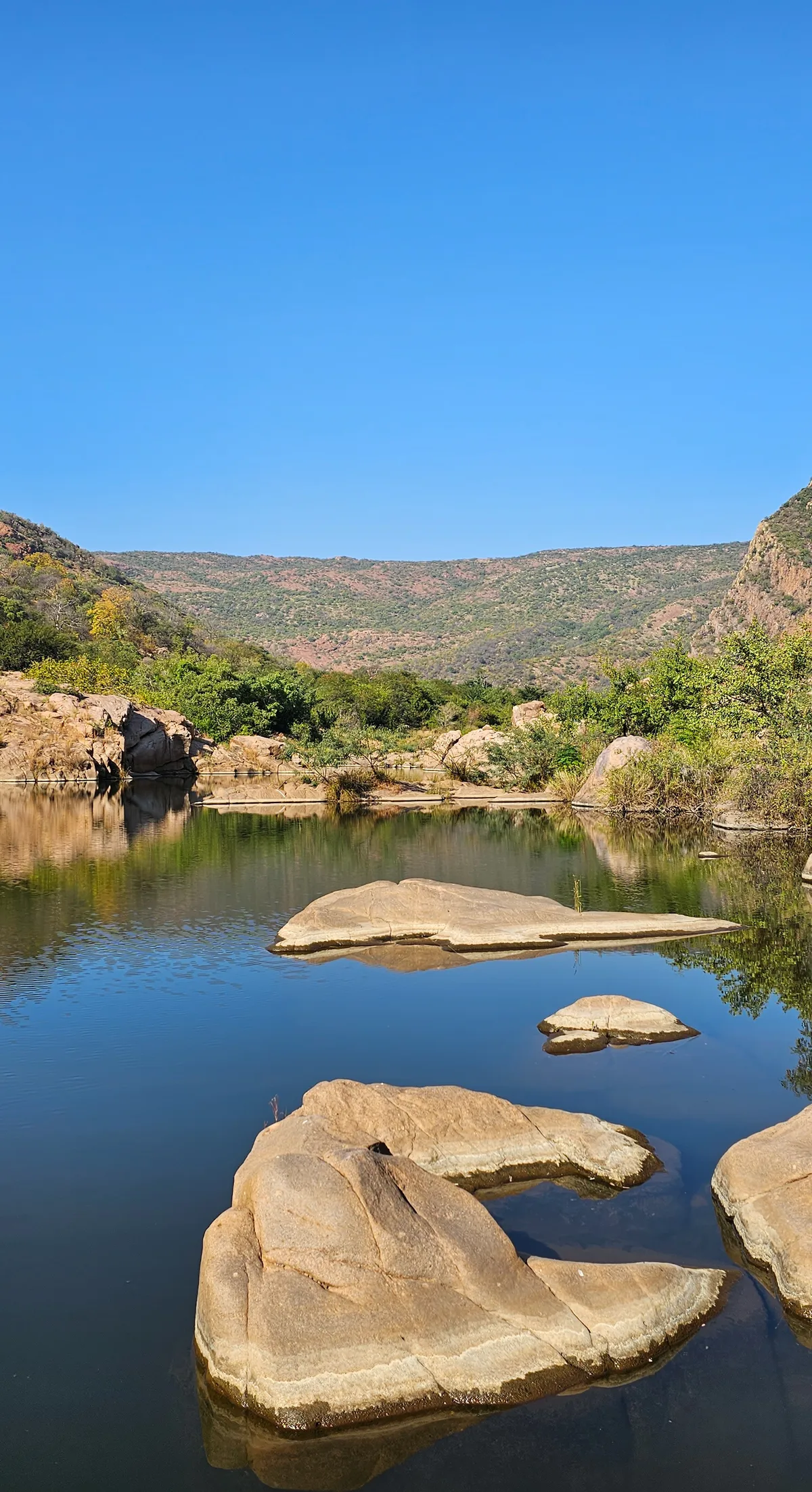 Copy of Few Far Luvhondo Reserve 51