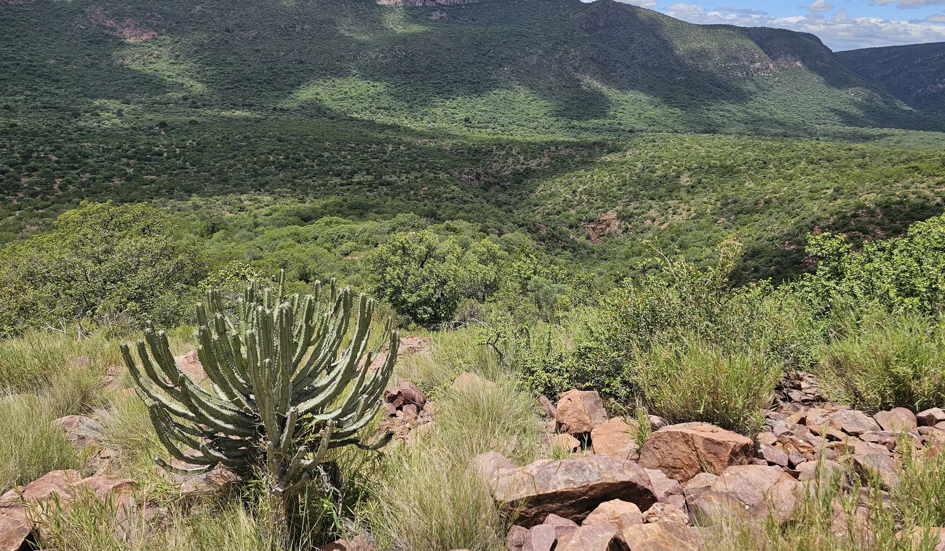 Short treks through the valley