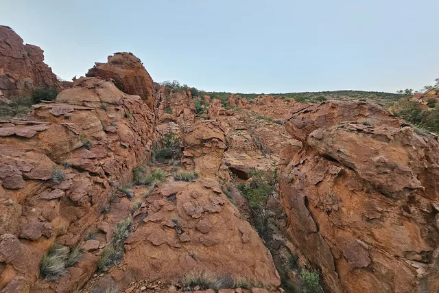 100 journeys into the wild: join us in restoring the forgotten mountain