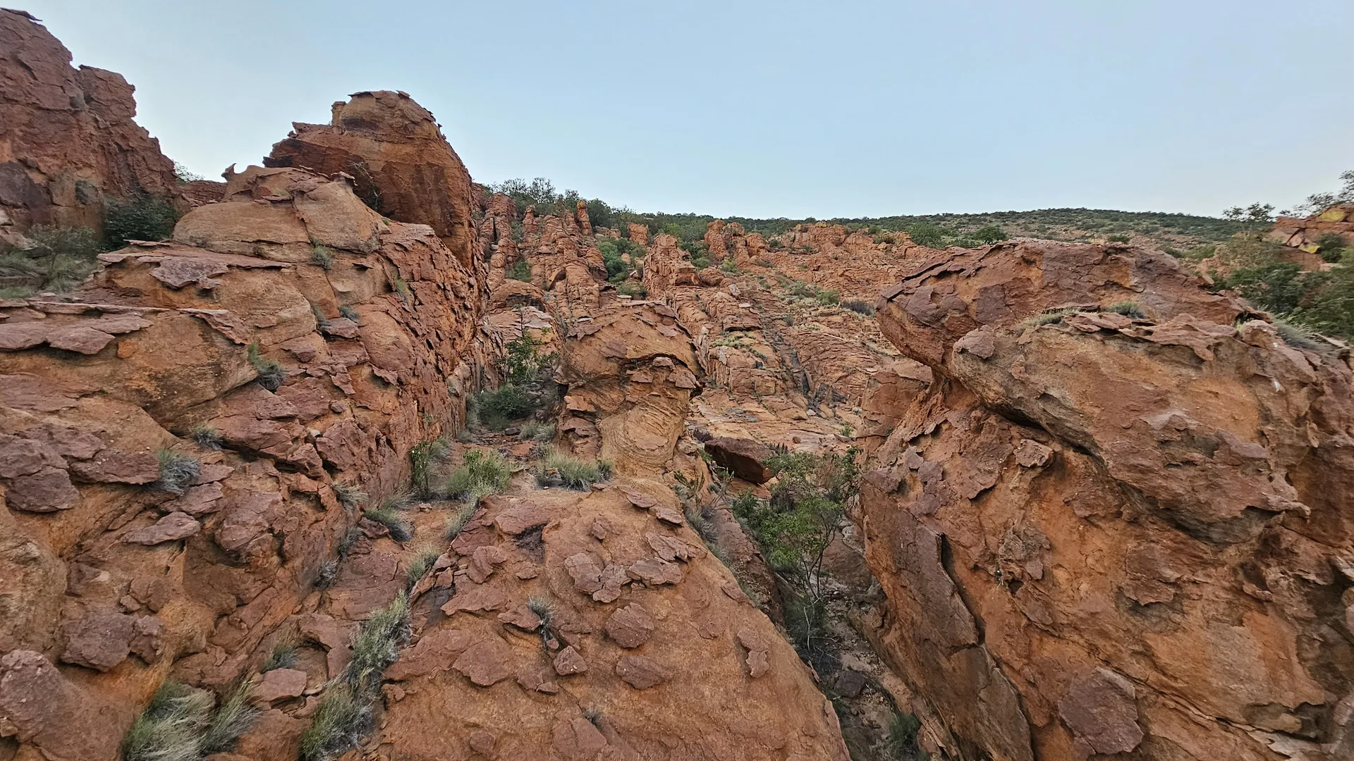 100 journeys into the wild: join us in restoring the forgotten mountain