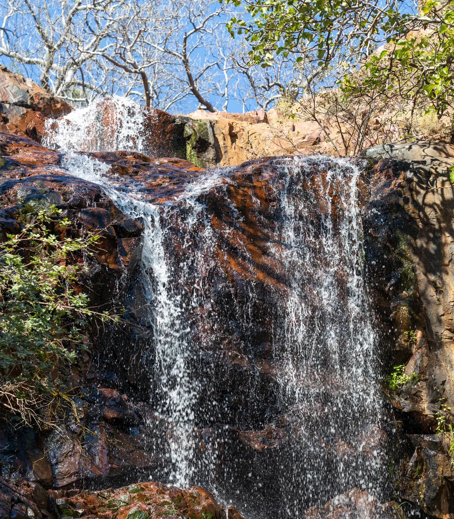 Tracing the water's path