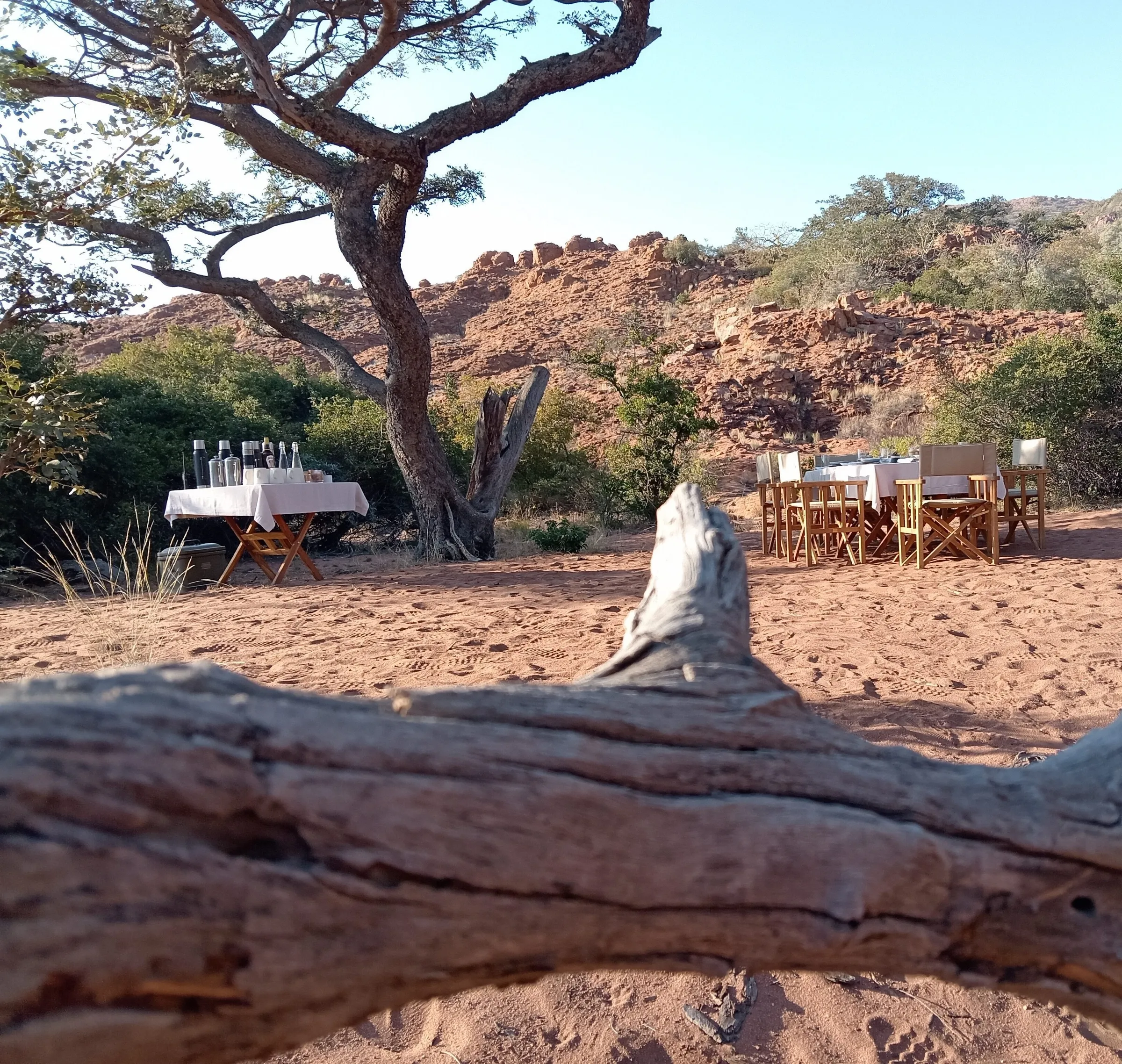 Bush breakfast