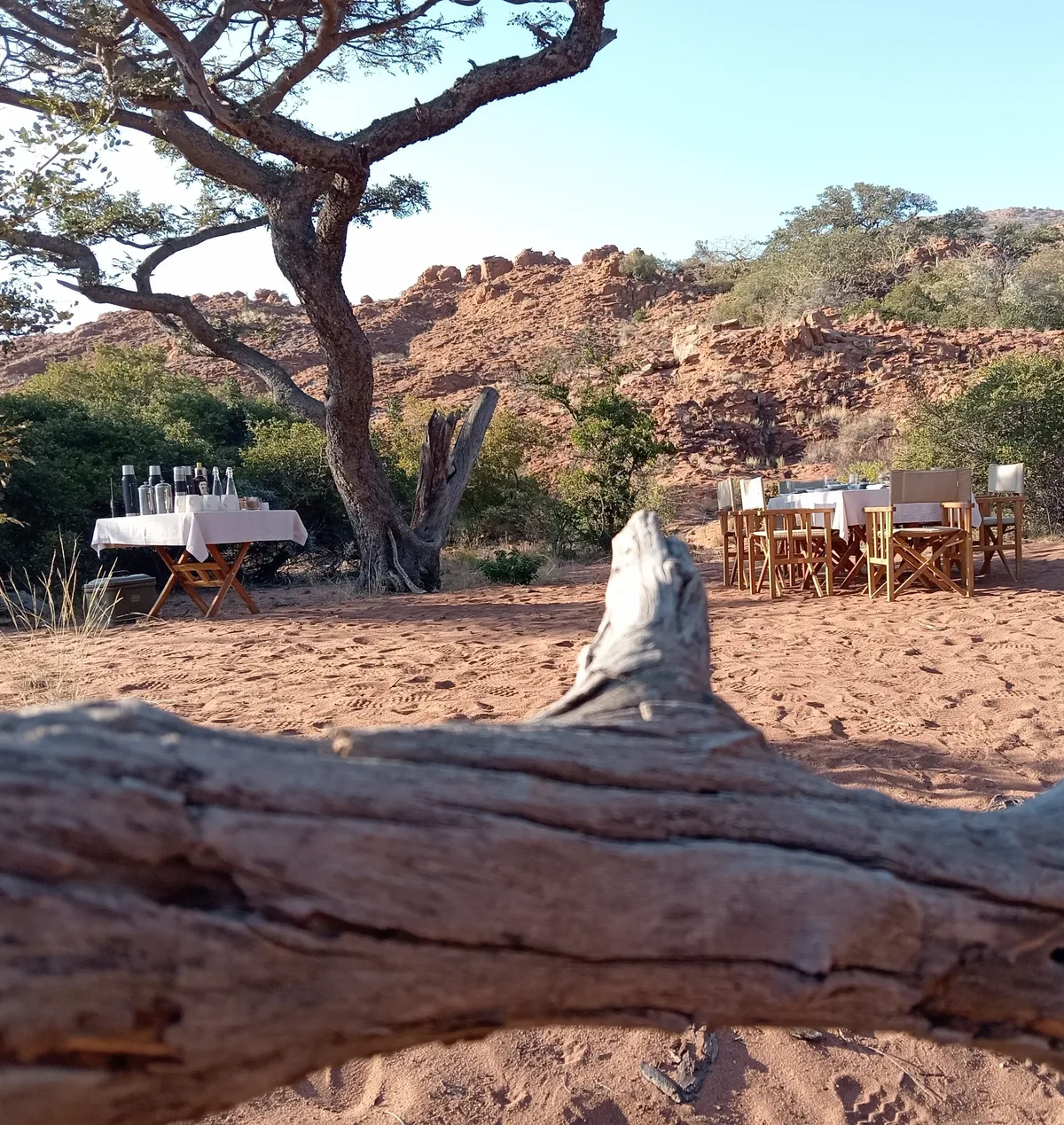 Bush breakfast