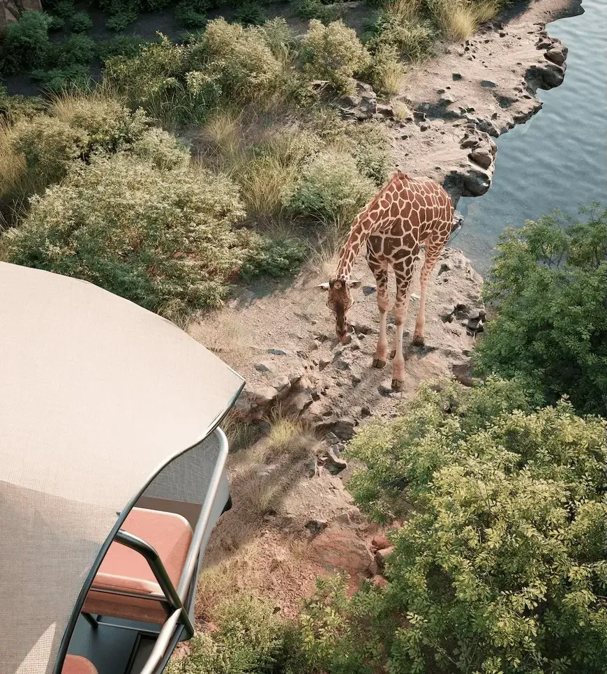 Giraffe top view