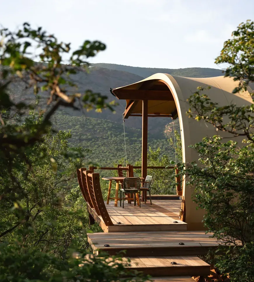 Suite through trees